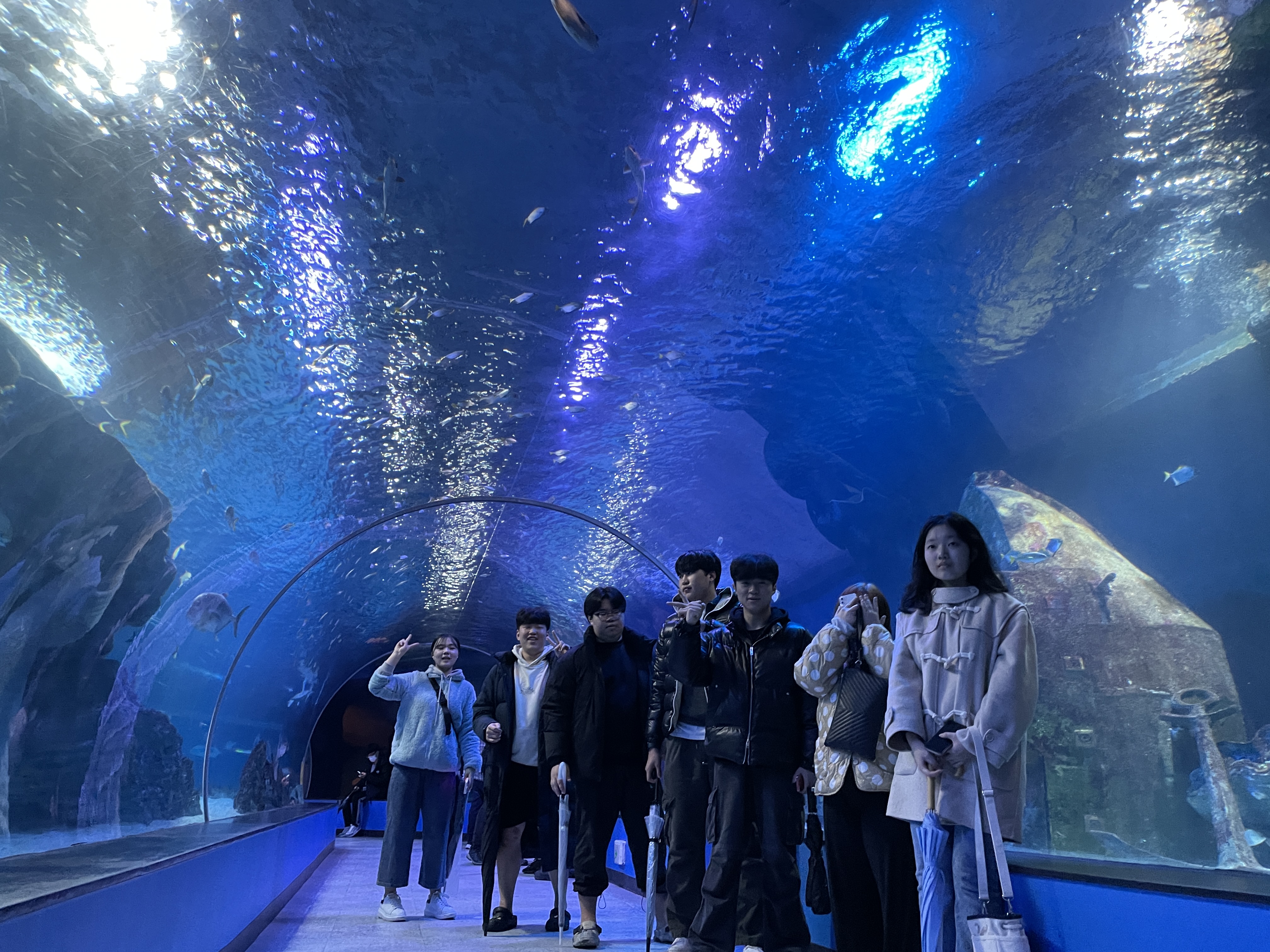 12.15 해운대 아쿠아리움, 갈맷길 걷기